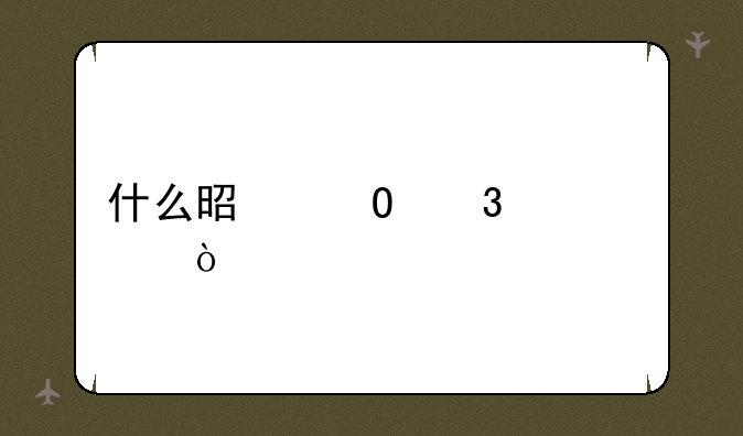 什么是专职社工？