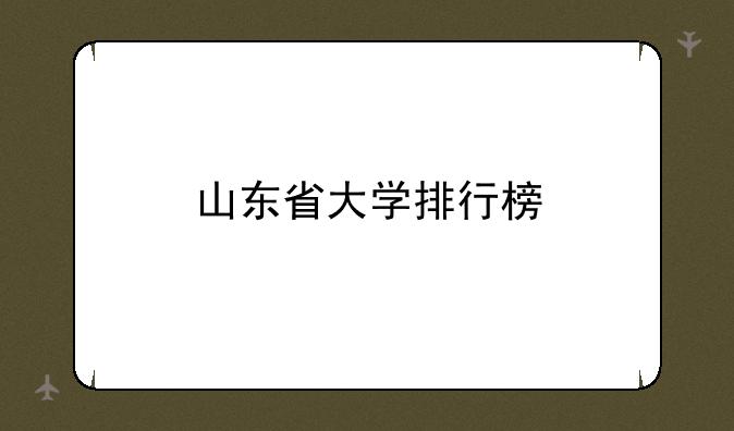 山东省大学排行榜