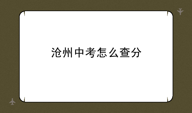 沧州中考怎么查分