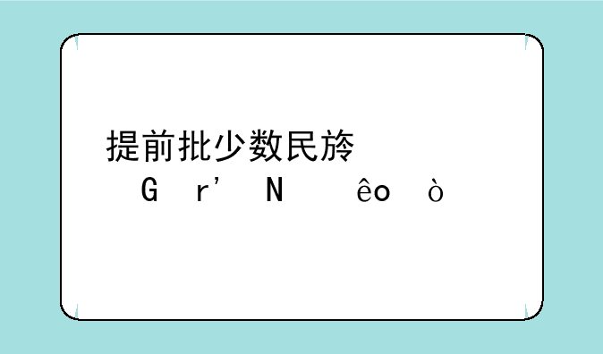 提前批少数民族预科有哪些？
