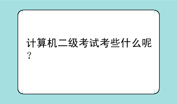 计算机二级考试考些什么呢？