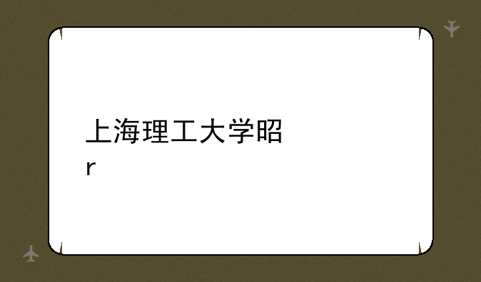 上海理工大学是几本