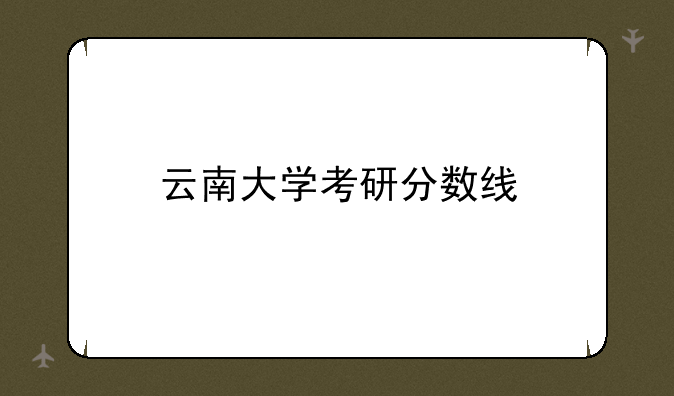 云南大学考研分数线