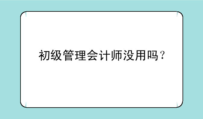 初级管理会计师没用吗？