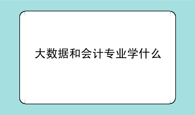大数据和会计专业学什么