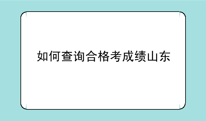 如何查询合格考成绩山东