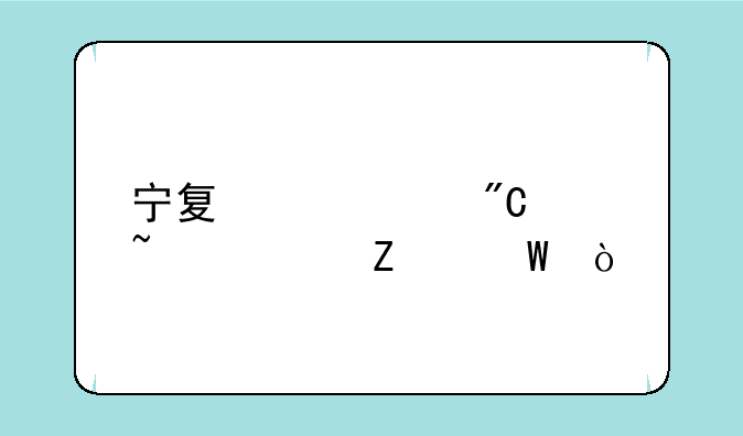 宁夏中考成绩查询方法？