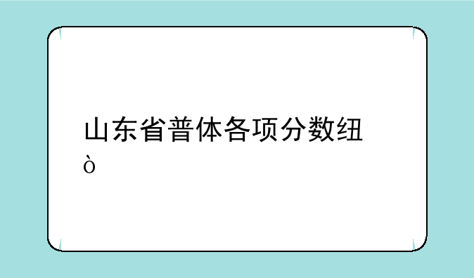 山东省普体各项分数线？
