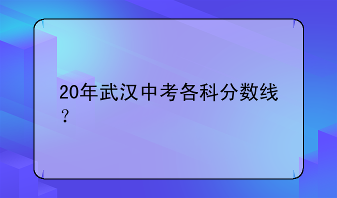 20年武汉中考各科分数线？