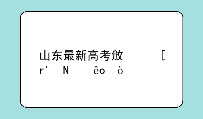 山东最新高考政策有哪些？