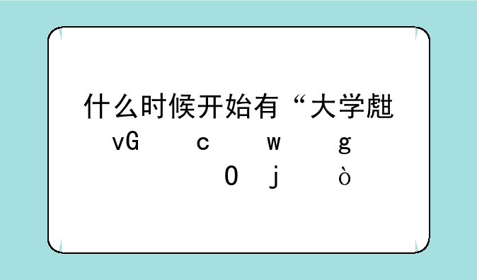 什么时候开始有“大学生村官”这个称谓的？