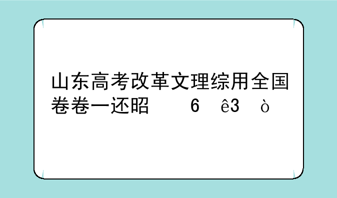 山东高考改革文理综用全国卷卷一还是卷二？