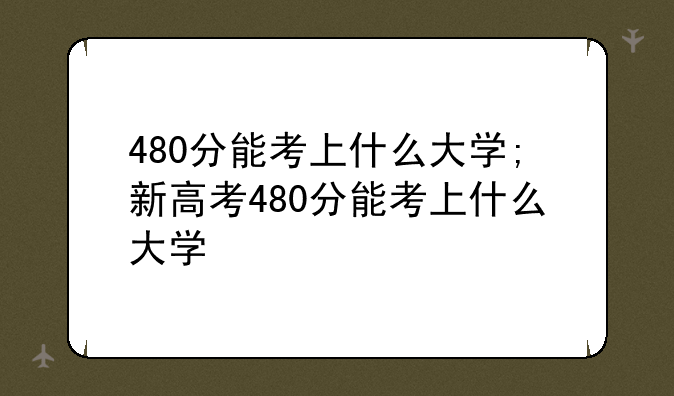 480分能考上什么大学;新高考480分能考上什么大学