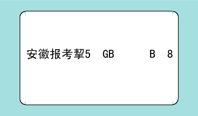 安徽报考指南__安徽报考指南书
